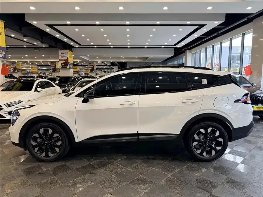 Kia Lion Platinum 2023 Lion Bo Tuojie 2.0T 2WD Premium Edition 2023 — миниатюра 3