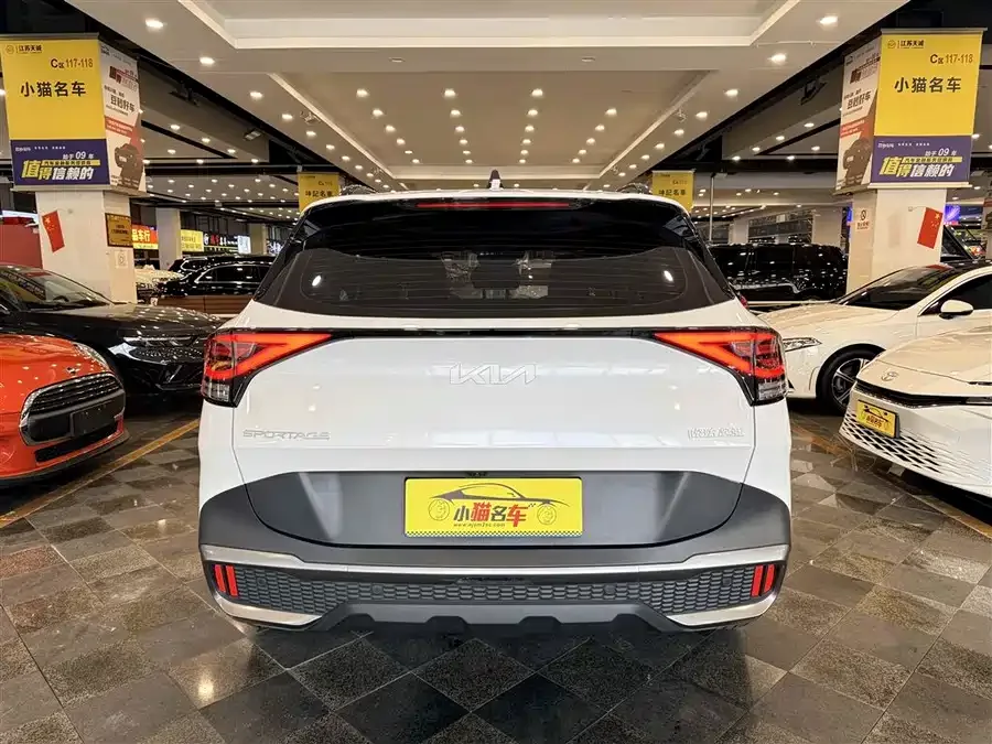 Kia Lion Platinum 2023 Lion Bo Tuojie 2.0T 2WD Premium Edition 2023 — миниатюра 4