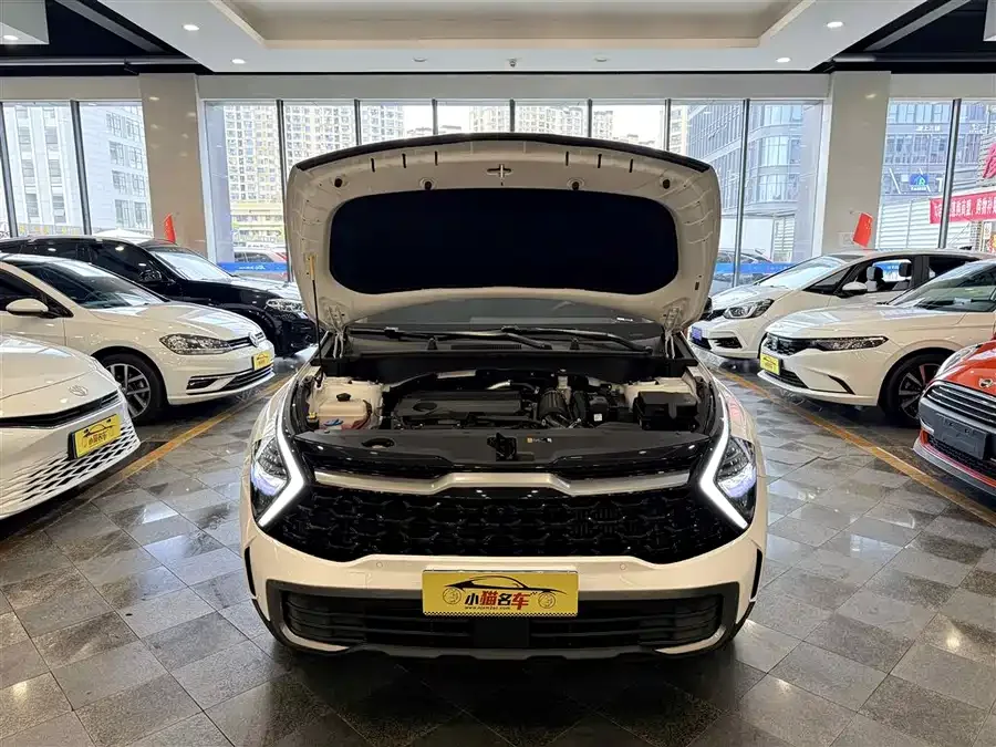 Kia Lion Platinum 2023 Lion Bo Tuojie 2.0T 2WD Premium Edition 2023 — миниатюра 5