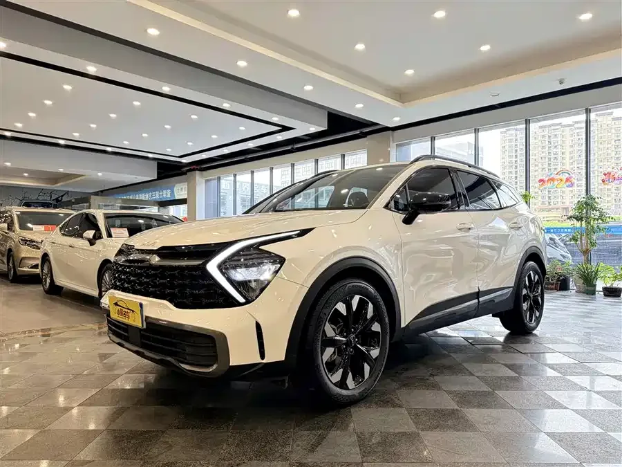 Kia Lion Platinum 2023 Lion Bo Tuojie 2.0T 2WD Premium Edition 2023 — фото 1, купить с доставкой в Москву