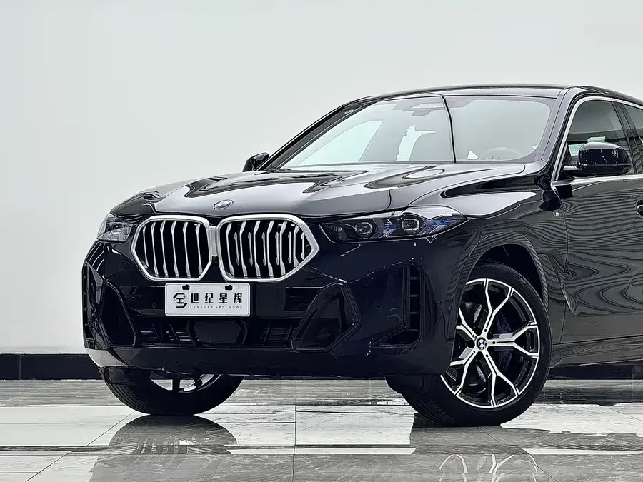 BMW X6 2023 xDrive40i Exclusive M Sports Package 2025 — миниатюра 3