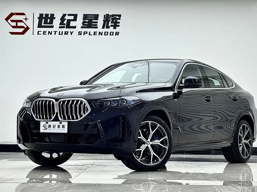 BMW X6 2025