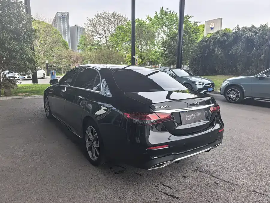 Mercedes-Benz E-Class Mercedes-Benz E-Class 2022 E 300 L Luxury Edition 2023 — миниатюра 5