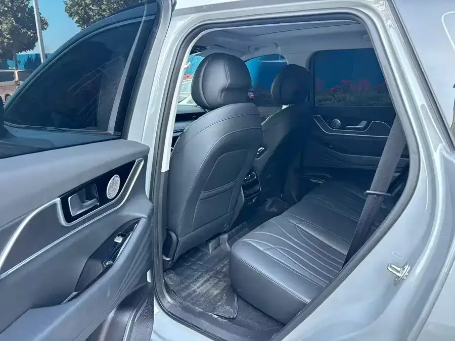 Chery Fengyun T9 Fengyun T9 2024 120 Long-range version Comfortable 5-seater Ternary Lithium 2025 — миниатюра 2