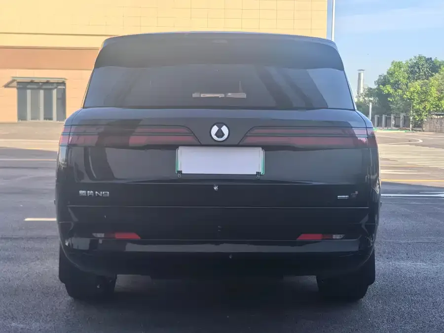 BYD N9 Denza N9 2025 flagship model 2025 — миниатюра 2