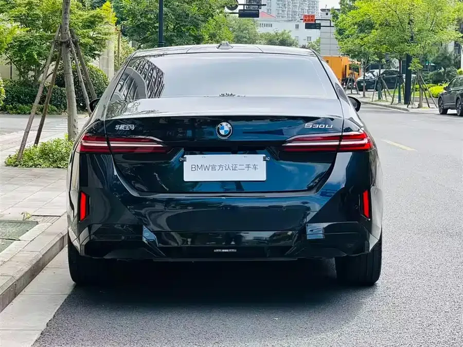 BMW 5 Series BMW 5 Series 2025 530Li Leading M Sport Package 2025 — миниатюра 2