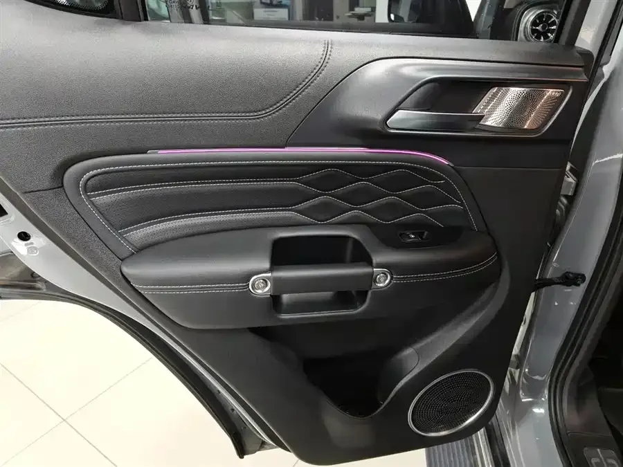 Tank 300 Tank 300 2023 City Edition 2.0T Very Stylish 2023 — миниатюра 4