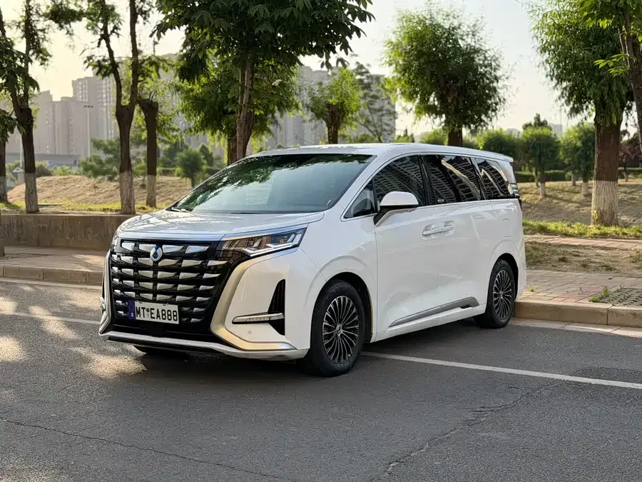 BYD D9 2023
