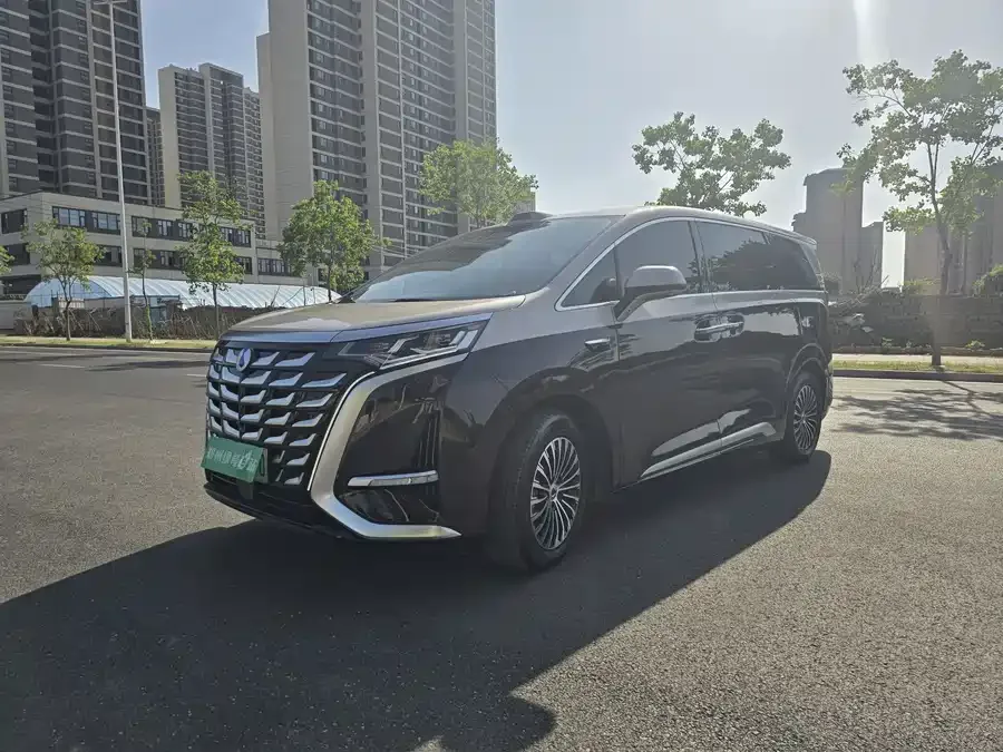 BYD D9 2025