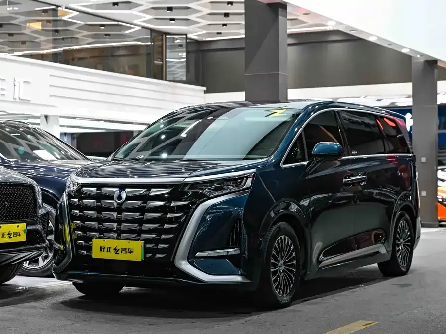 BYD D9 2024