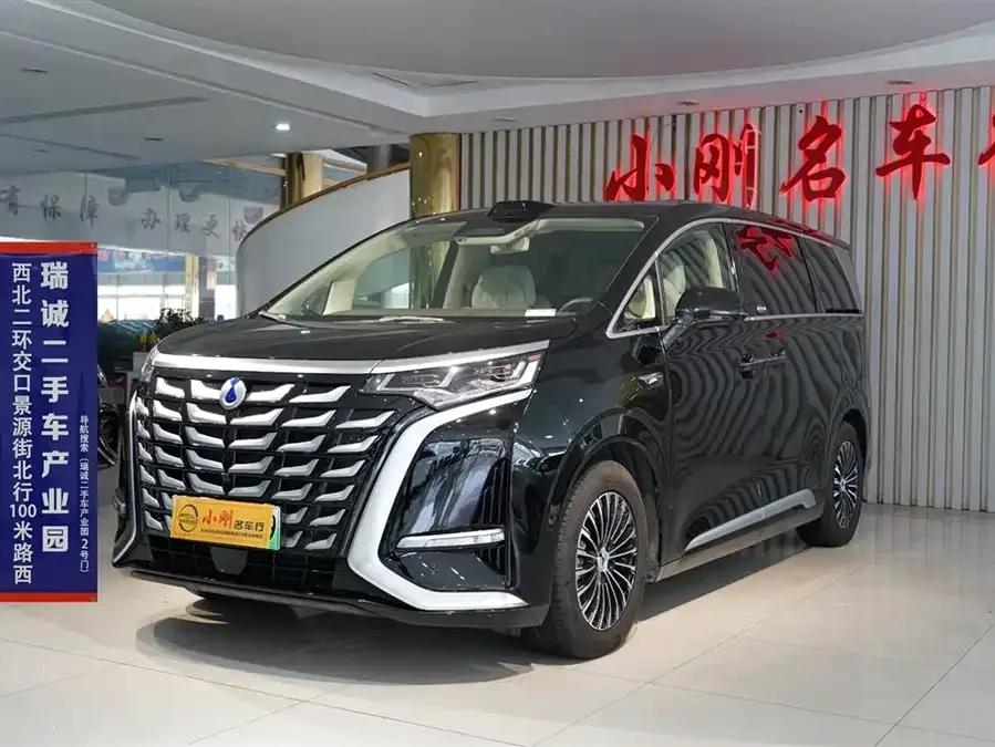 BYD D9 2025