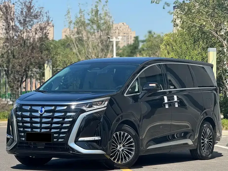 BYD D9 2025