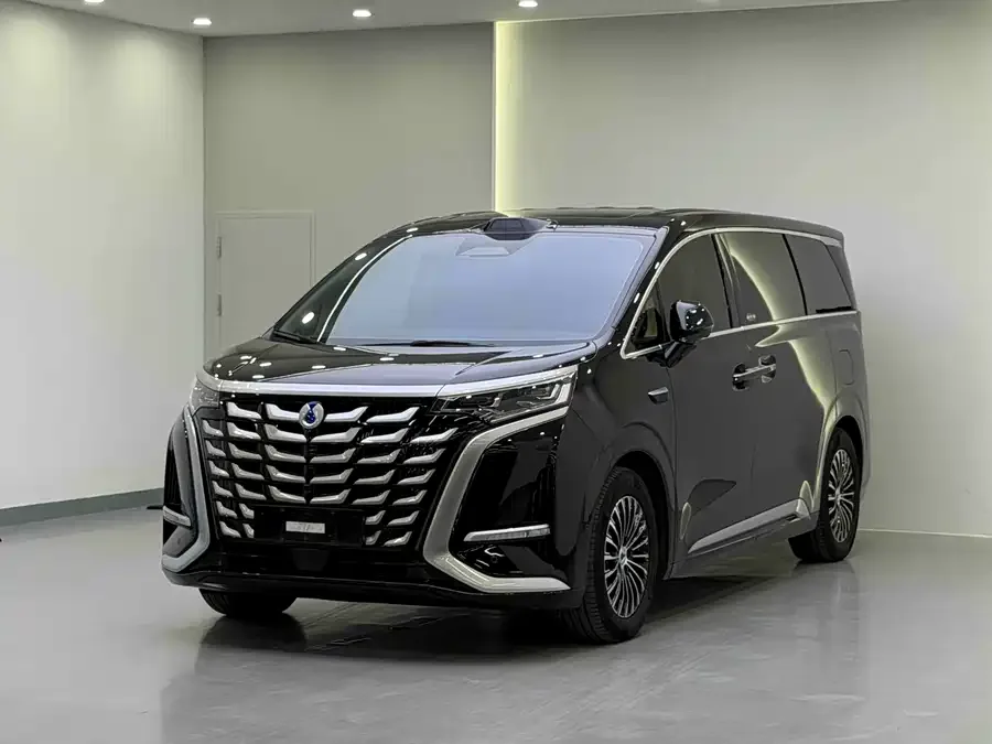 BYD D9 2025