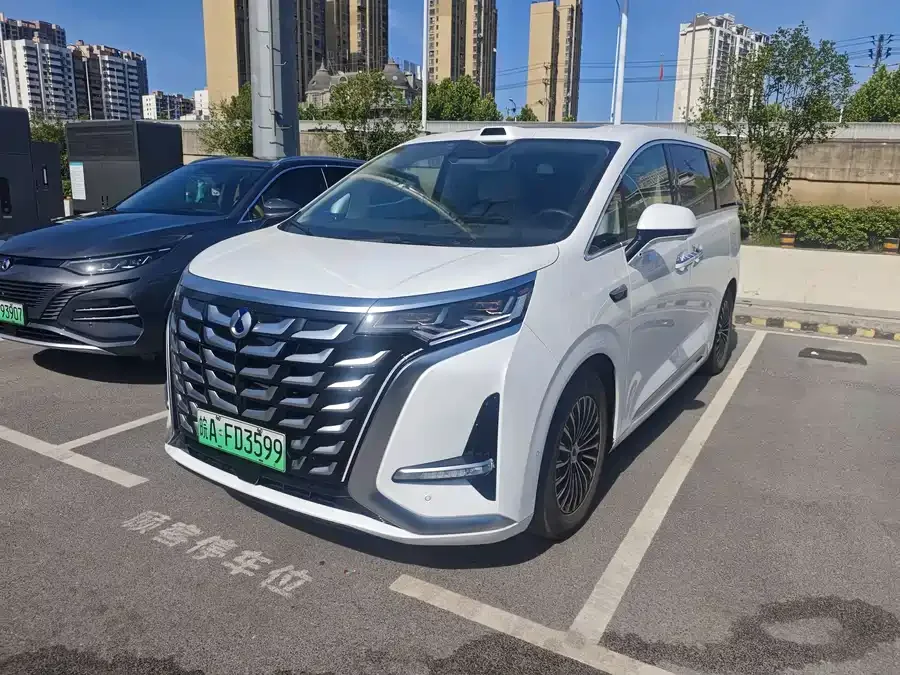 BYD D9 2025