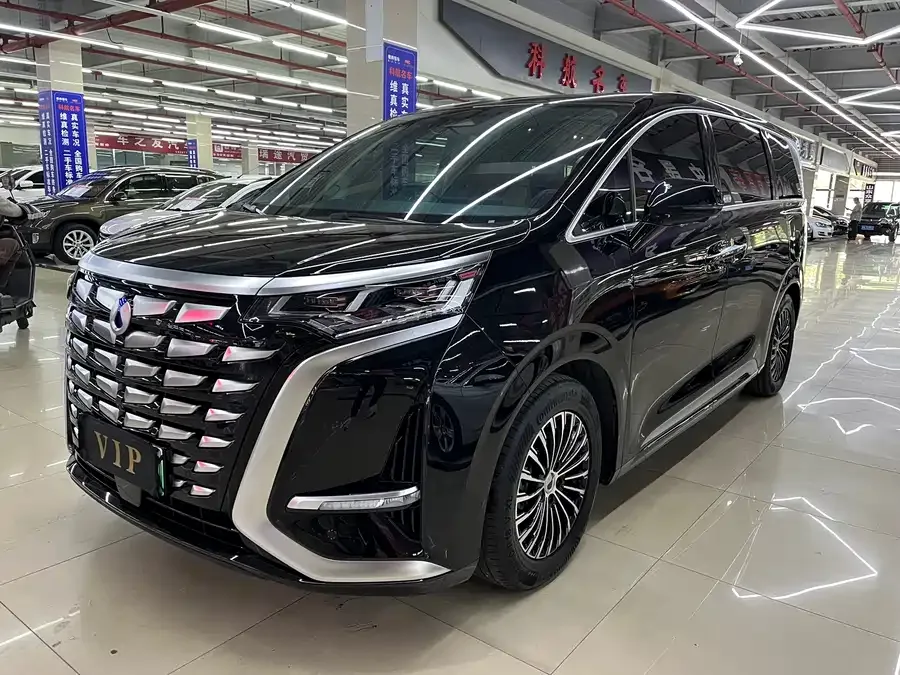BYD D9 2025