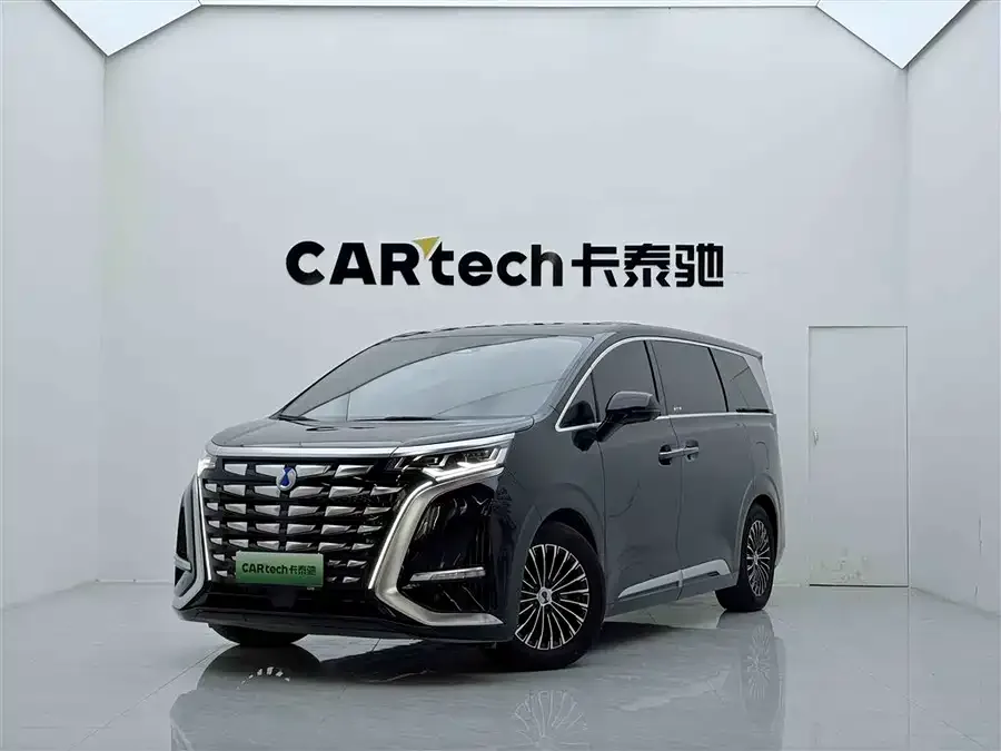 BYD D9 2024