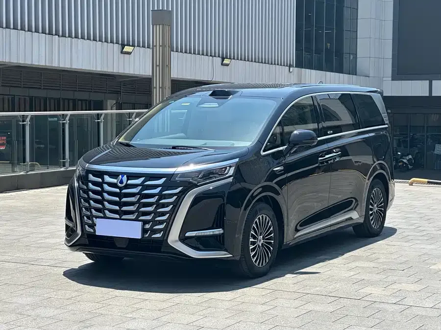 BYD D9 2024