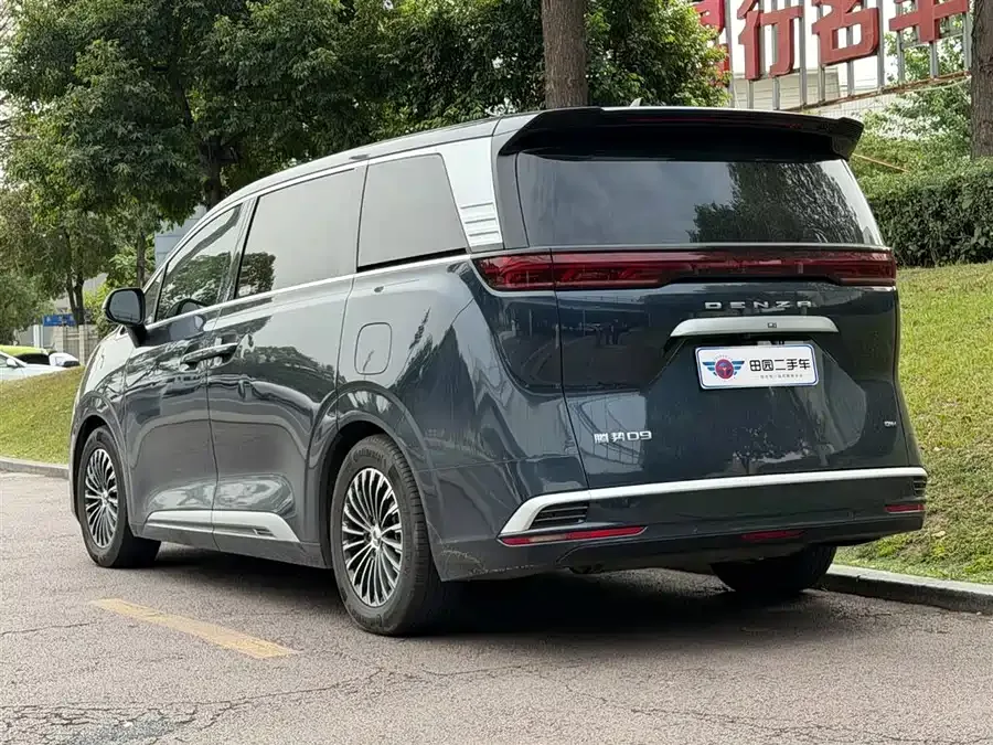 BYD D9 DENZA D9 2024 DM-i 1050 Premium Edition 2024 — миниатюра 4