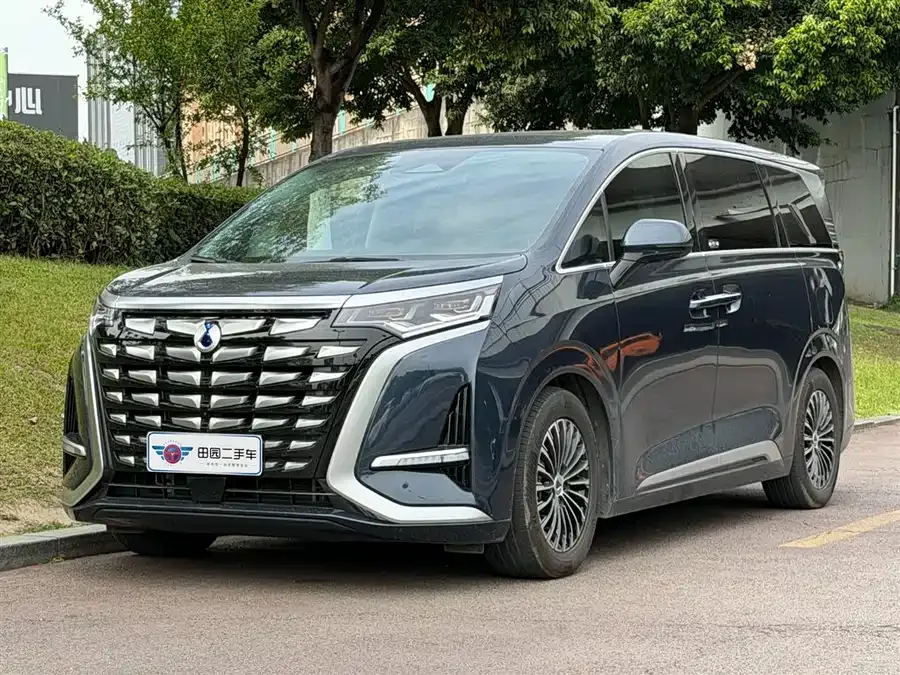 BYD D9 2024