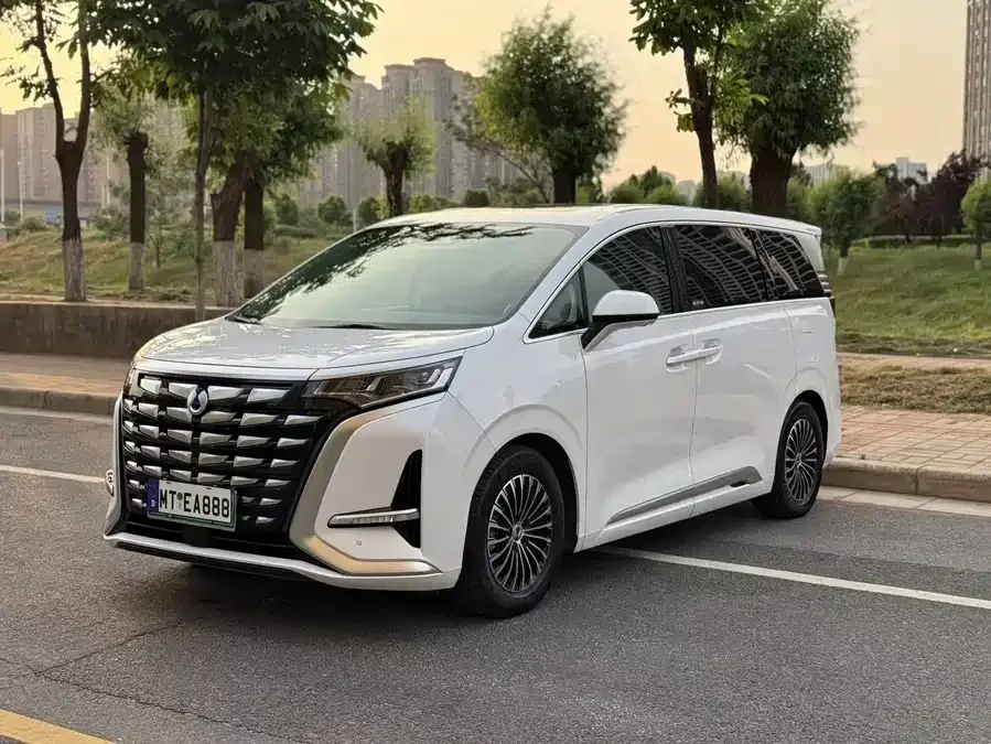 BYD D9 2023
