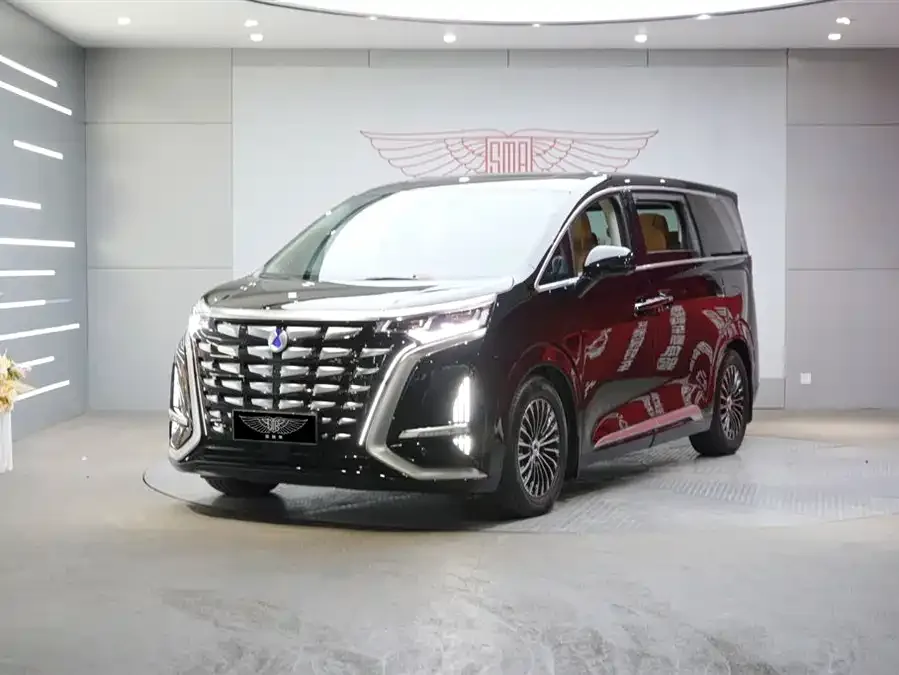 BYD D9 2024