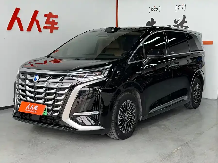 BYD D9 2025