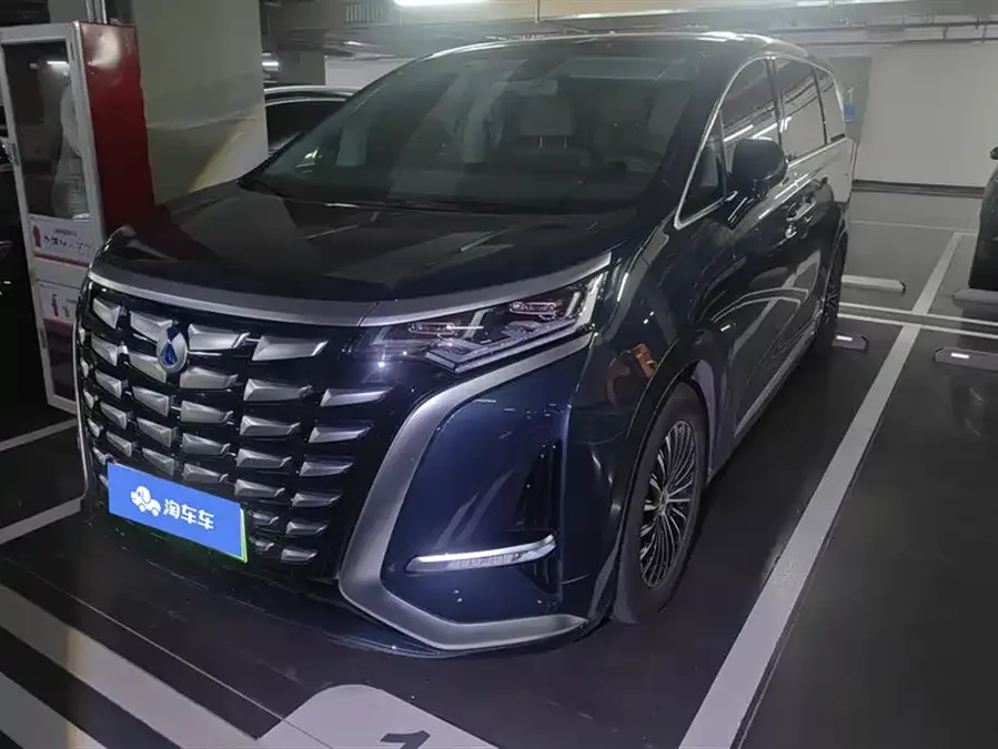 BYD D9 2024