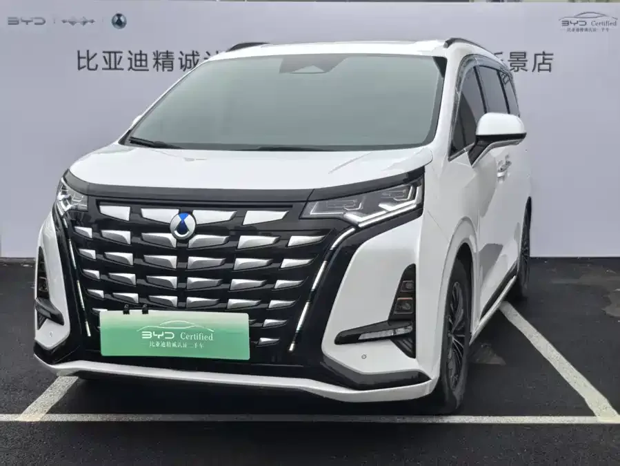 BYD D9 2024