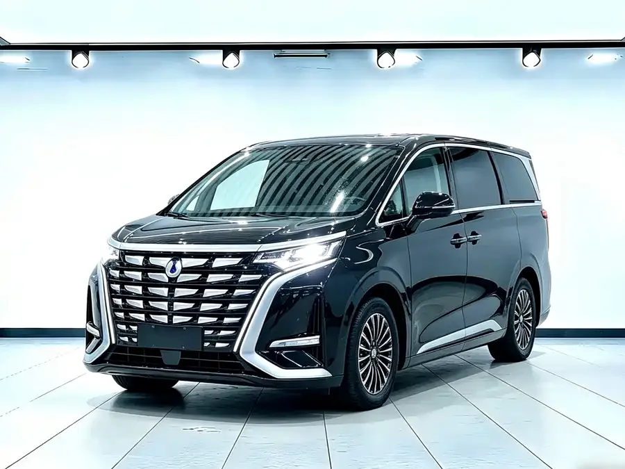 BYD D9 2024