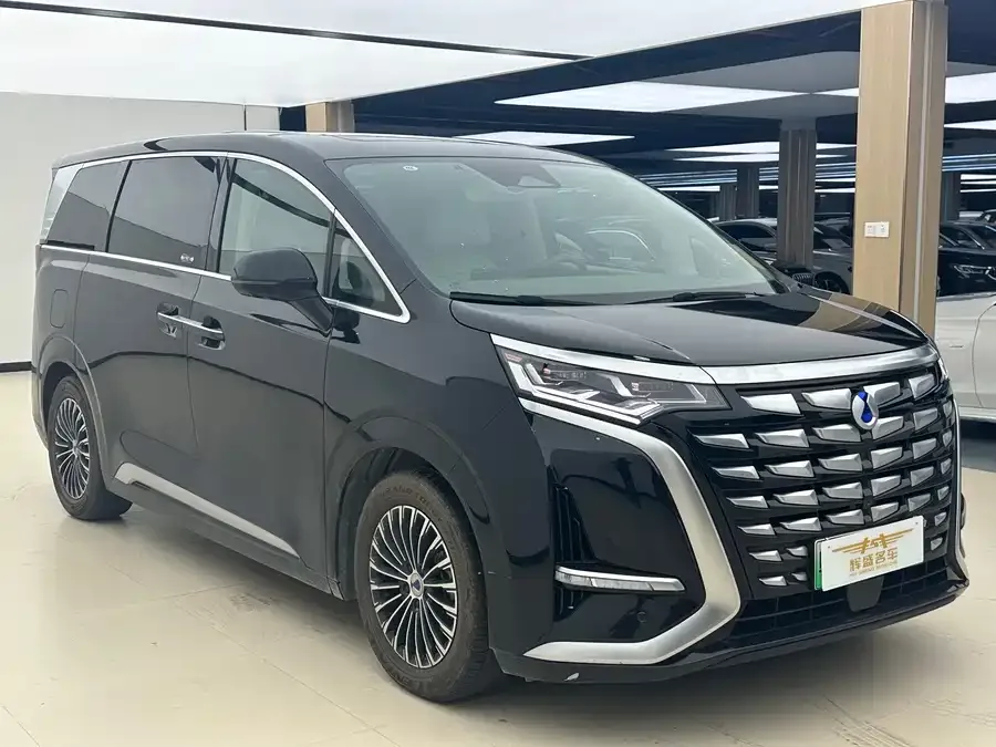 BYD D9 DENZA D9 2022 DM-i 1040 Premium Edition 2023 — миниатюра 3