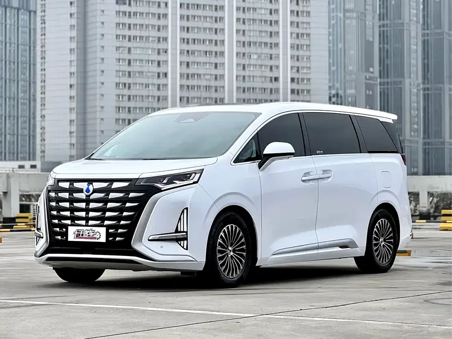 BYD D9 2024