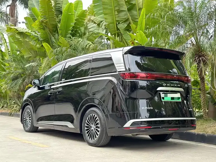 BYD D9 DENZA D9 2024 DM-i 980 4WD Premium Edition 2024 — миниатюра 2