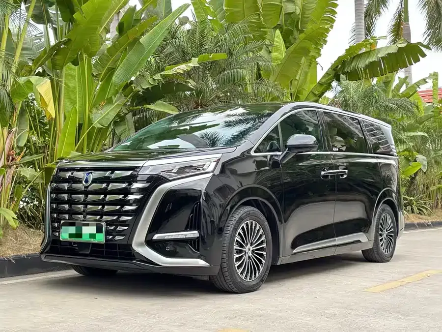 BYD D9 2024