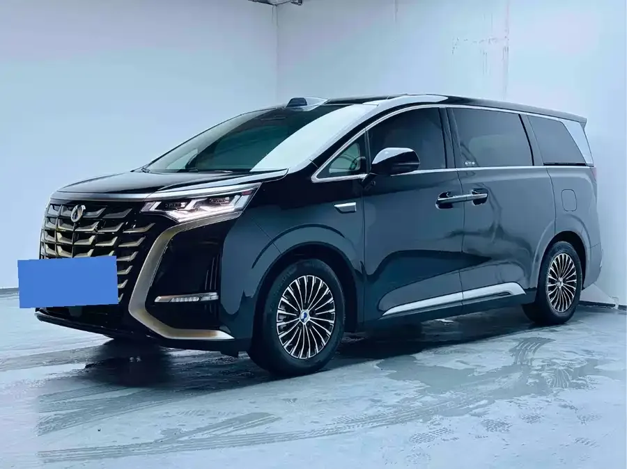 BYD D9 2025