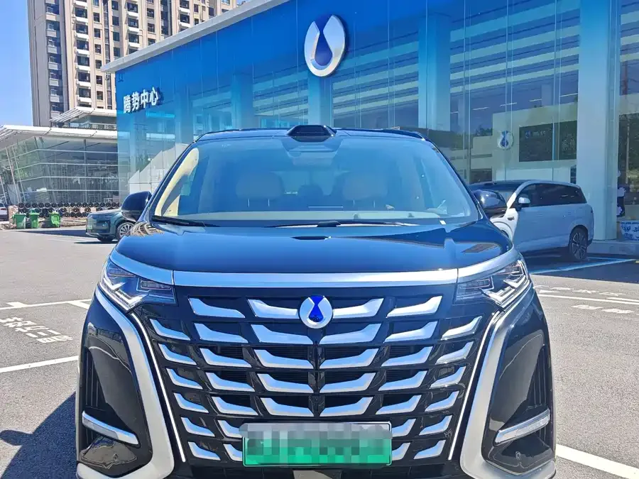 BYD D9 2025