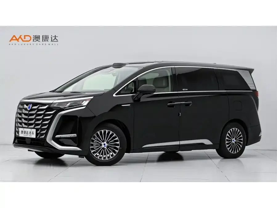 BYD D9 2025