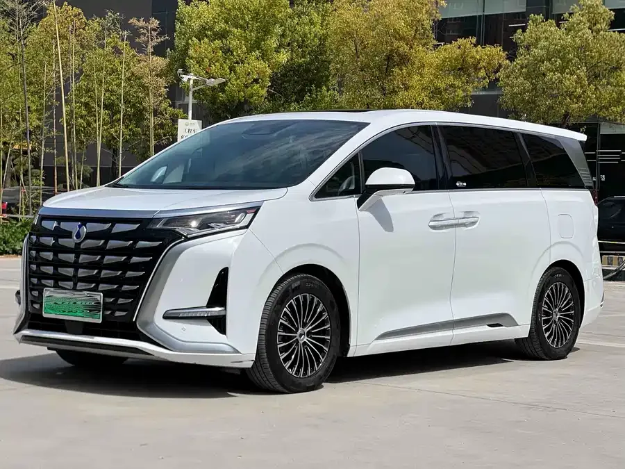 BYD D9 2024