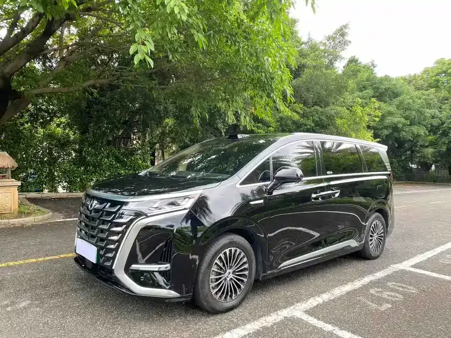BYD D9 2025