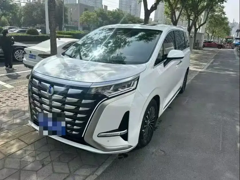 BYD D9 2024