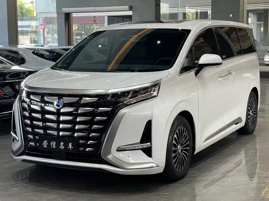 BYD D9 2025