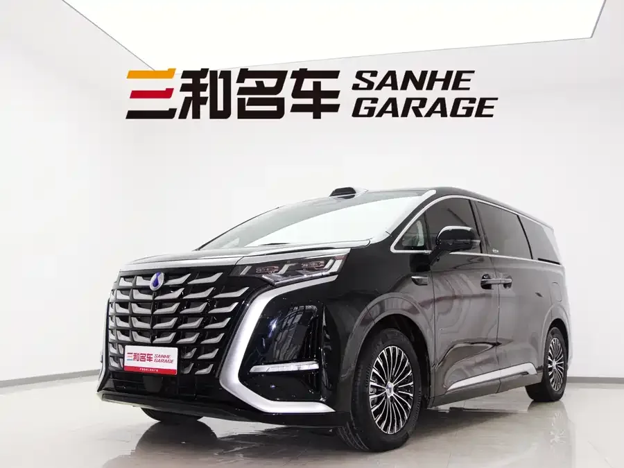 BYD D9 2025