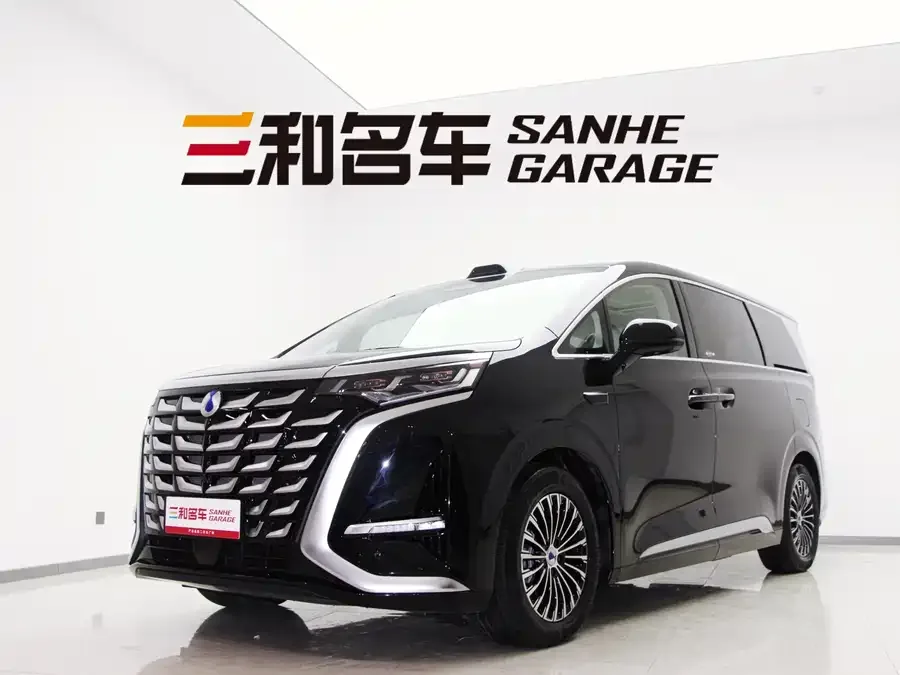 BYD D9 2025