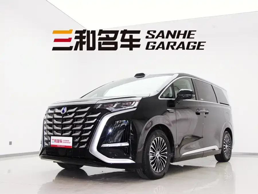 BYD D9 2025