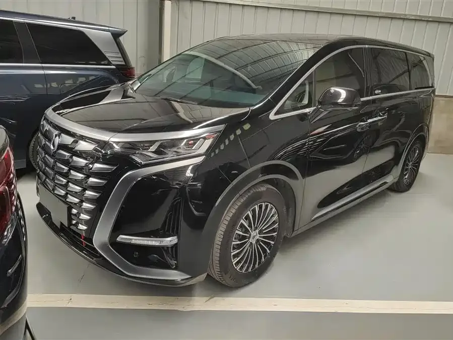 BYD D9 2025