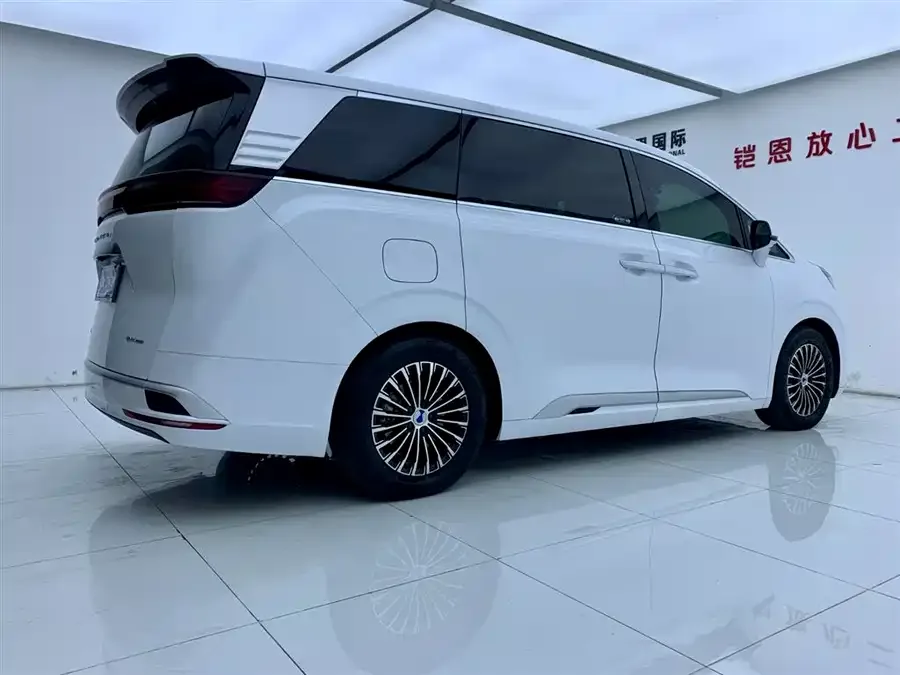 BYD D9 DENZA D9 2024 DM-i 980 4WD Premium Edition 2024 — миниатюра 2