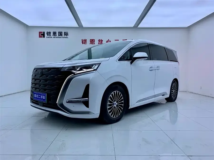 BYD D9 2024