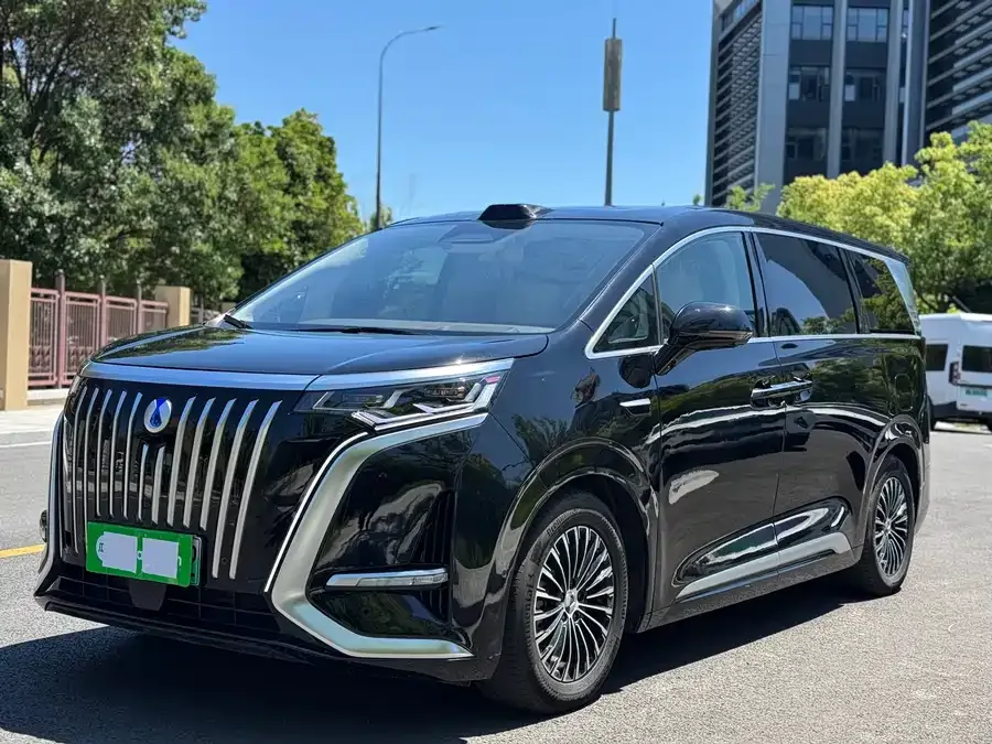 BYD D9 2025