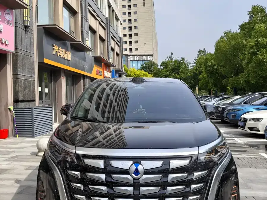 BYD D9 2023