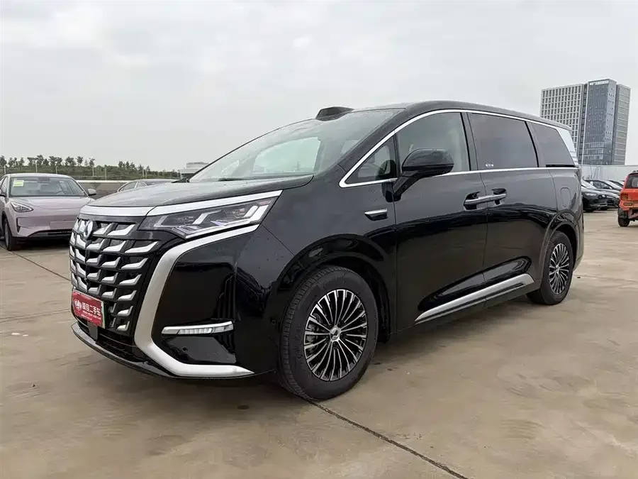 BYD D9 2025