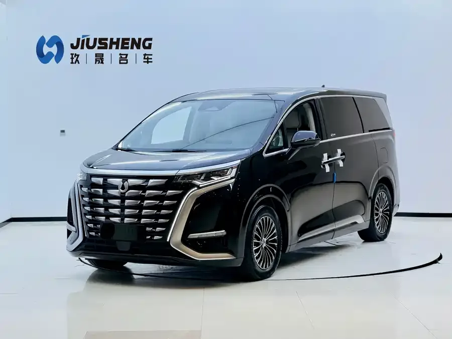 BYD D9 2024